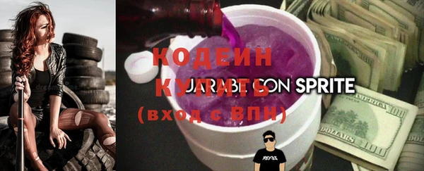 индика Всеволожск