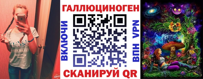 kraken как зайти  закладки  Талица  Галлюциногенные грибы MAGIC MUSHROOMS 
